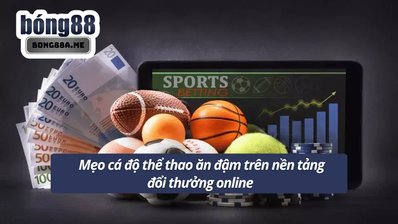 Bật mí kinh nghiệm cược thể thao không thua cho thành viên