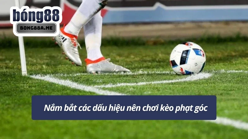 Nắm bắt dấu hiệu để bắt kèo góc hợp lý