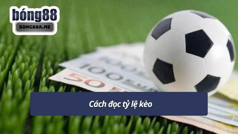 Mẹo chơi kèo phạt góc dựa vào tỷ lệ kèo nhà cái