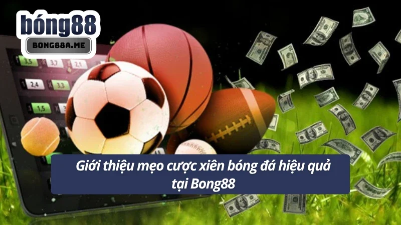 Nắm một số thông tin cơ bản về mẹo cược xiên bóng đá