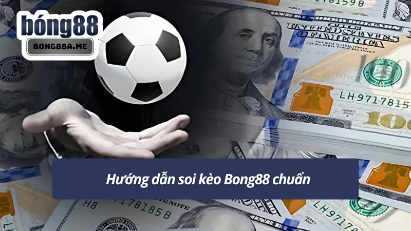 Cẩm nang soi kèo bóng đá dựa trên mẹo đánh kèo 0.5