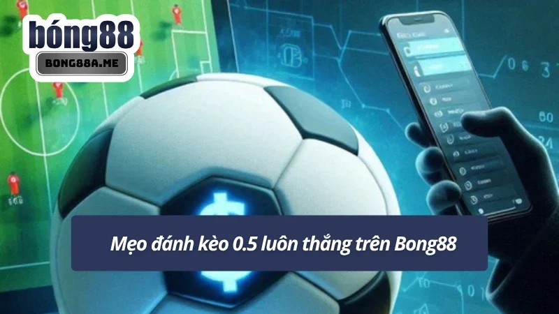 Tổng hợp một số mẹo đánh kèo 0.5 được nhiều cao thủ áp dụng