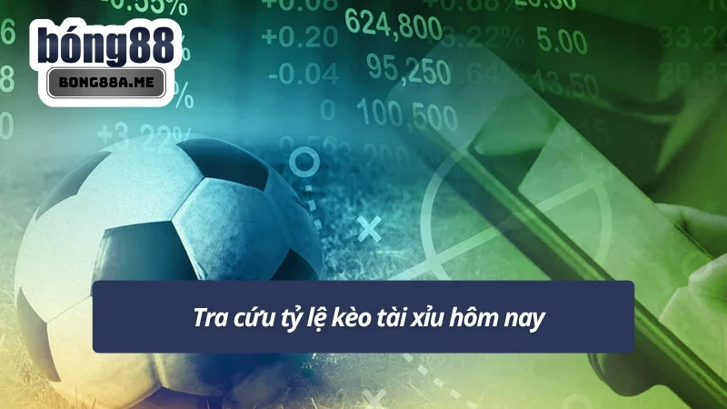 Cập nhật tỷ lệ kèo tài xỉu hôm nay chuẩn nhất