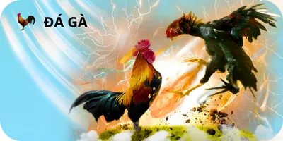 đá gà Bong88